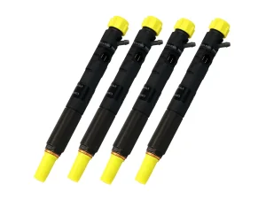 Delphi EJBR04201D A6460700987 |CDI| Mercedes Fuel Injector — Ultimate Autoparts SA